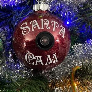 Hand Crafted Santa it Grinch Cam